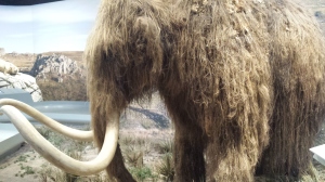 A dreadlocked mammoth