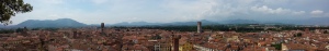 Panorama from Guinigi tower